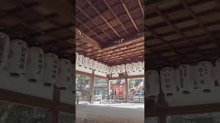 競馬必勝祈願ならここ！　#藤森神社 #京都 #京都観光 #馬 #午年 #競馬 #神社 #日本 #kyoto #kyotojapan #kyototravel #japan