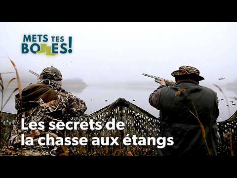 Étangs sauvages : L’art de la chasse du gibier d’eau