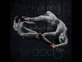 Whispering Woods - Perditus et Dea teaser 