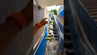 The Subway With No Way Out!