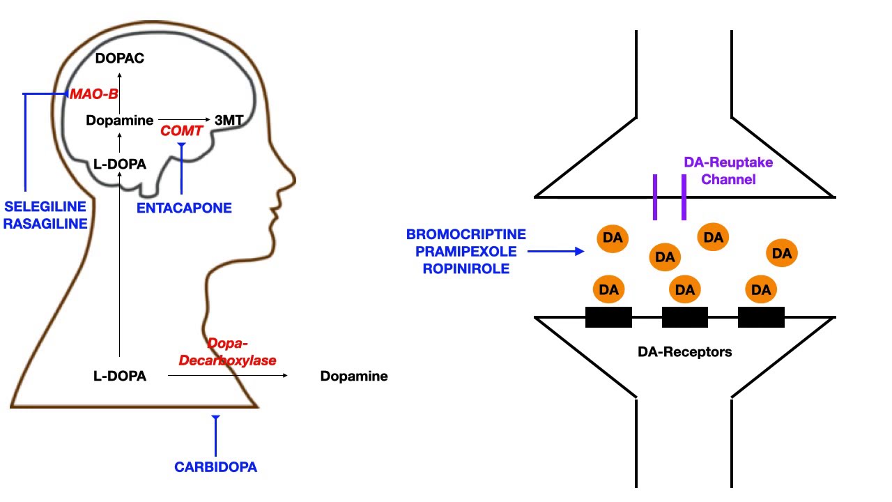 Parkinson's Pharmacology