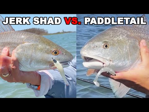 Paddletail vs. Jerkshad