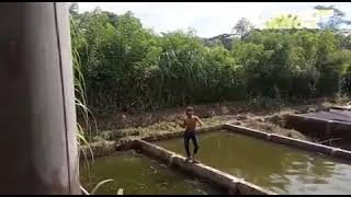 Download lagu Story wa kowe tak sayang sayang | ngakak banget mp3 Download lagu Story wa kowe tak sayang sayang | ngakak banget mp3