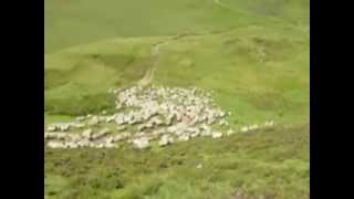 Ella Fitzgerald :::: Swingin&#39; Shepherd Blues.