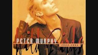 Peter Murphy - Jemal (version 2)