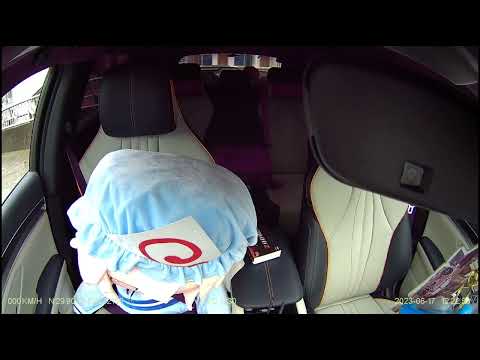 fumo yuyuko survives from accident【Touhou】