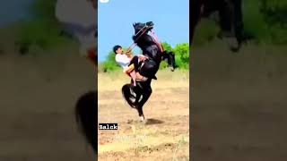 , video