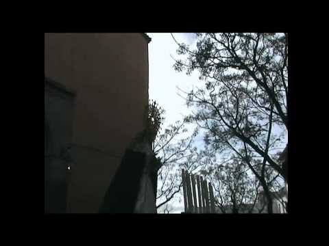 Estrella Albaycinera - A.M. María Stma. de la Estrella (Granada)