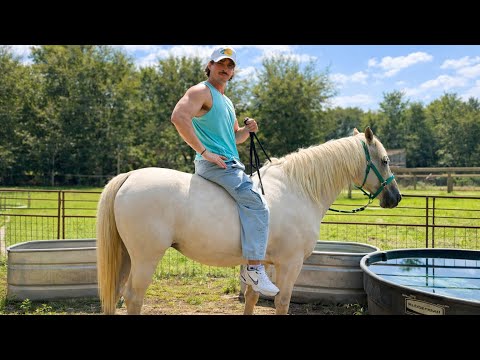 The Largest Animal I’ve Ever Rescued 