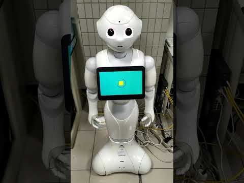 Universidad de Ciencia y Tecnología Cheng Shu, Departamento de Información y Gestión, Centro Wisdom Zero Song, Persona encargada del equipamiento de títeres, Pepper