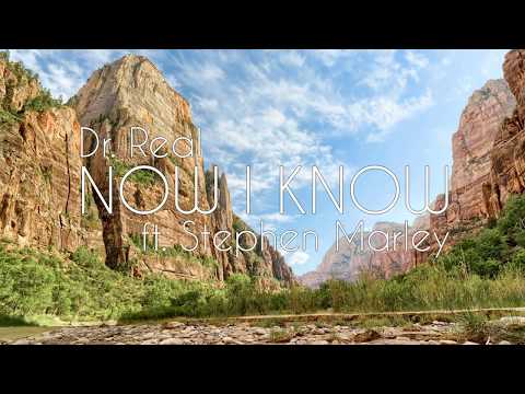 Dr. Real - Now I Know (ft. Stephen Marley) |Official Audio|