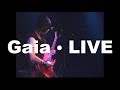 PENICILLIN feat.千聖 「Gaia」をLIVEで弾いてみた 