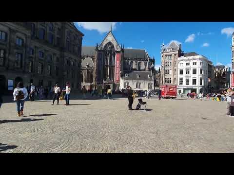 Dam Square in Amsterdam #live #amsterdam #damsquare #netherlands
