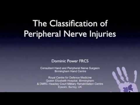 Current Concepts in BPI Part 2: The Classification of Peripheral Nerve Injury