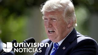 En medio del caos por el huracán María, Donald Trump comunica que visitará Puerto Rico