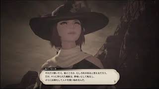 【漆黒ロールクエを】スサノオ村岡のぐだぐだFF14【駆け抜ける！】