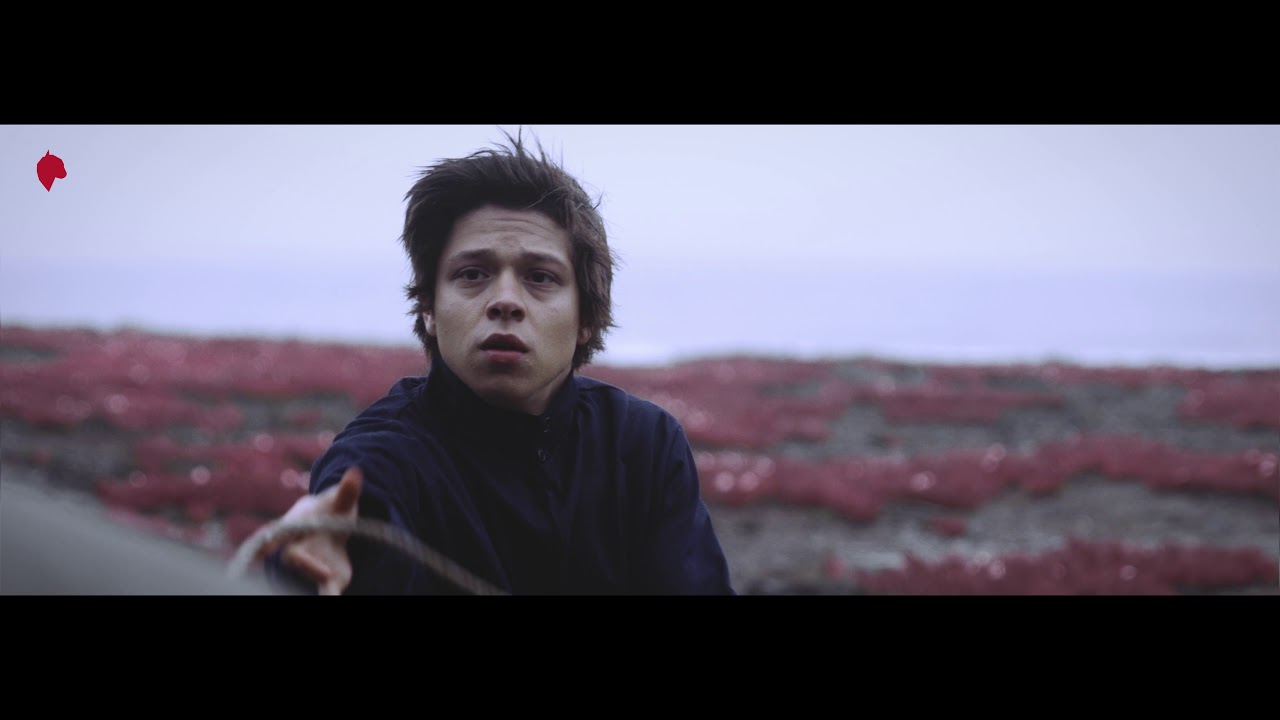 Spot FEST 2018 (Mid Length)