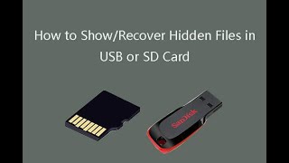 How to recover hidden files from virus infected USB drive?