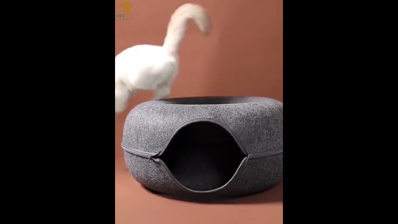 tunnel en forme de donut video thumbnail