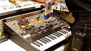 Video thumbnail for Korg ARP Odyssey Module Overview & Demo by Synthtopia