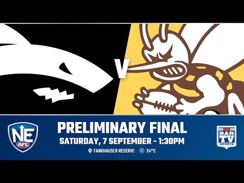 2019 NEAFL - Preliminary Final 2 - Southport Sharks v Aspley Hornets