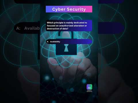 44 Become a MASTER of Cyber Security in 2024