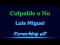 Luis Miguel  Culpable o No  Karaoke 4K