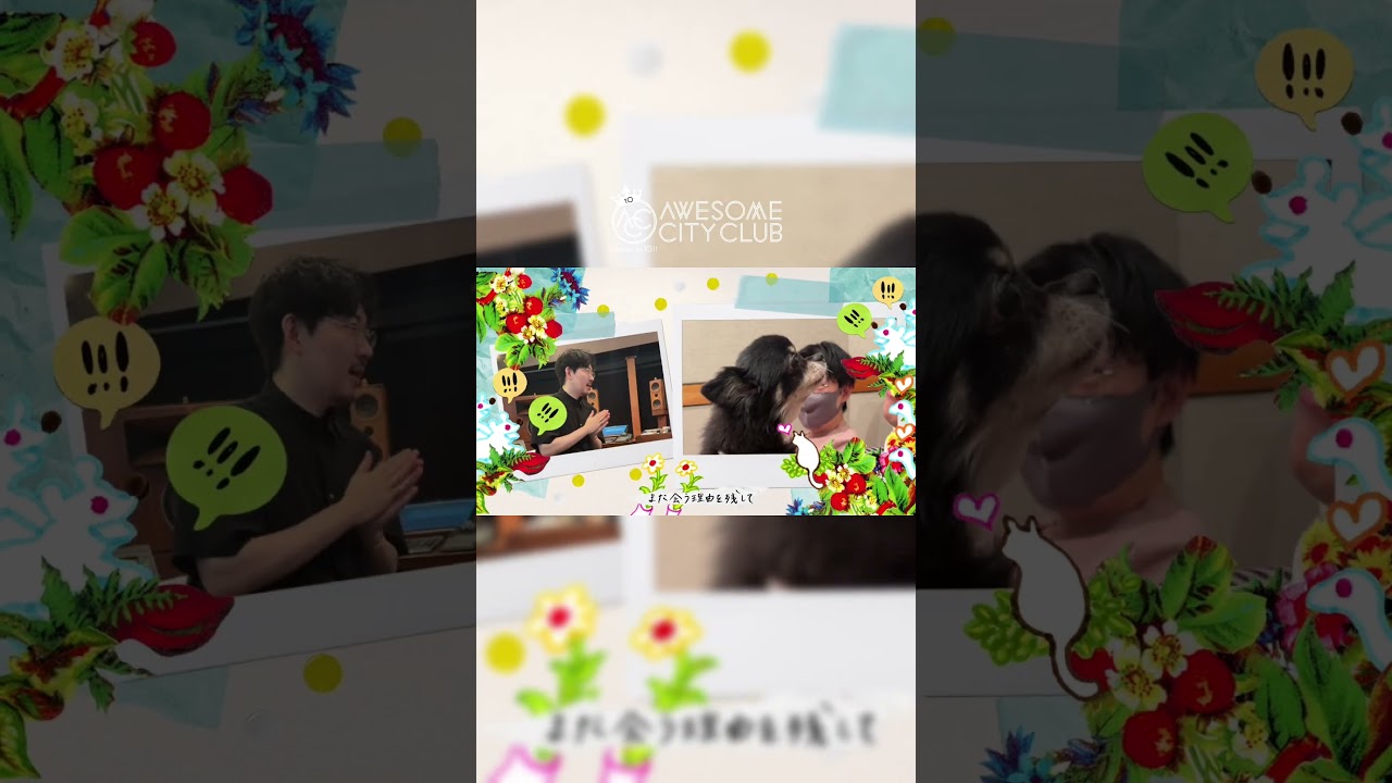 10周年10作品連続リリース第10弾「群鳥(ぐんちょう)」🪽