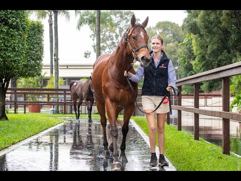 2022 Magic Millions GC National Broodmare Sale - Lot 508