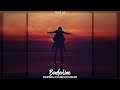 Tove Lo Borderline DawidDJ X N4xoon Remix