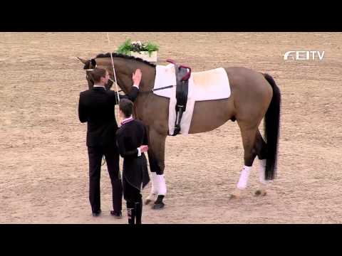 FEI World Cup™ Vaulting 2013/14 Leipzig - Individual Male Top 3