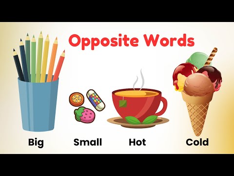 "Fun with Opposites! 🌟 Big and Small, Fast and Slow, Hot and Cold | Learning for Kids"