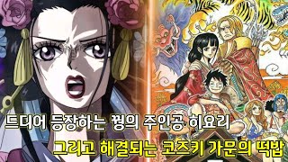 [원피스 1025화 심층분석]드디어 등장하는 꿩의 주인공 히요리 그리고 해결되는 코즈키 가문의 떡밥