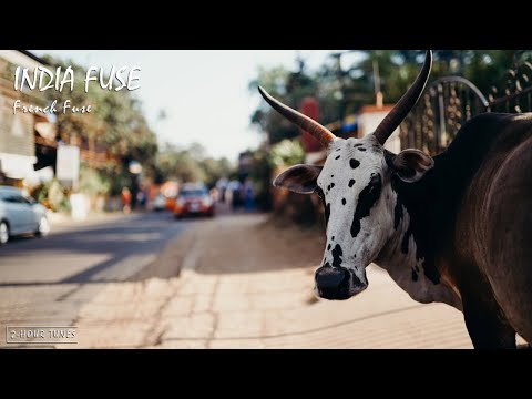 India Fuse - French Fuse | 2-hour tune | Endless loop | Copyright Free!
