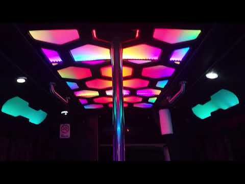 Tornado Party Bus Tour - 8-10 Passengers