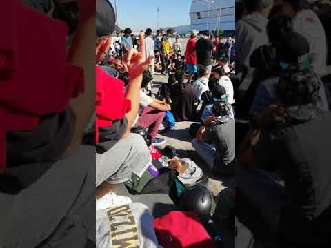 Poblatack vs grizzly vs plets vs esezeta