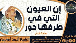 الشيخ – أحمد أبوبرين (إن العيون التي في طرفها حور) (ساحة الدح)