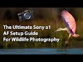 The Ultimate Sony a1 AF Setup Guide (For Wildlife Photography)