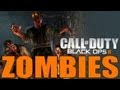 Black Ops 2 - ZOMBIES! 4v4 Team Game Mode ...