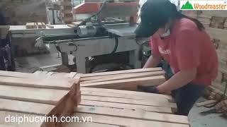 Woodmaster. MÁY CẮT PHÔI BÀN CHẠY TỰ ĐỘNG CAO TỐC