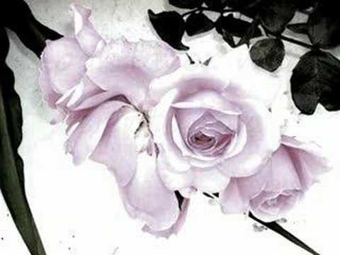 ME SIENTO SOLA TORMENTA