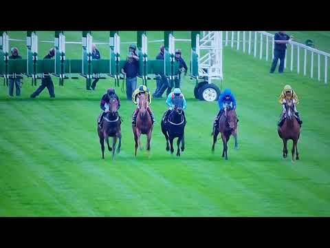 Ventura Rebel-Ascot 2019-beaten favourite Lady Pauline