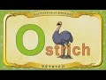 Multipedia Of Animals Letter O Ostrich