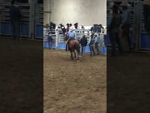 2018 JP Ranch Rodeo Bronc Riding www.jpranchrodeo.com like ya and follow us on FB & IG @jpranchrodeo