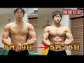 【減量日記#9】筋肉痛と疲労感について・ダンベルの重量設定について【筋トレ】