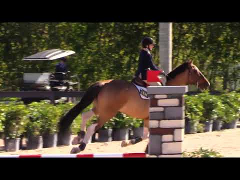 Ellen’s Deva Low child adult jumper ESP Holiday Finale