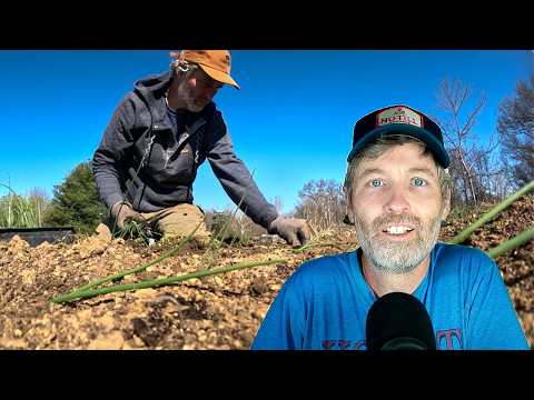 Boost Onion Planting Speed + Succession Crop Plans