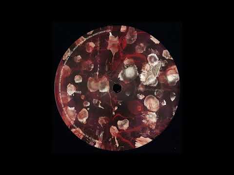 Dubfluss - Texture Welt [DANIV005 - Dreams Are Not Inside]