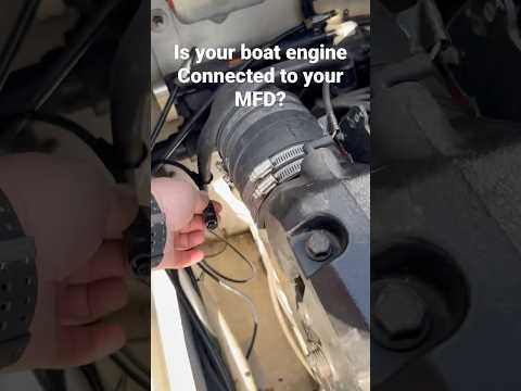 Most boat owners don't know their engine is disconnected #shorts #boats #fishing