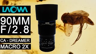 LAOWA 90mm F2.8 Macro 2x Lens FF II - Best Budget Macro LENS EVER? Canon RF 100MM vs Canon EF 100MM